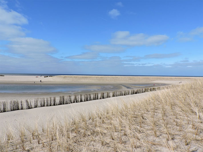 Strand in Callantsoog